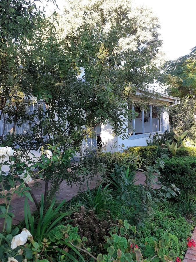 Driftwood Boutique Bed And Breakfast Lobatse 外观 照片